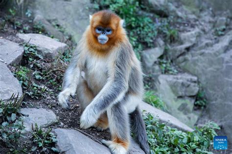 玉合公園怎麼樣 且談玉合公園的文化與景觀